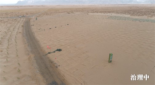 沙2.jpg